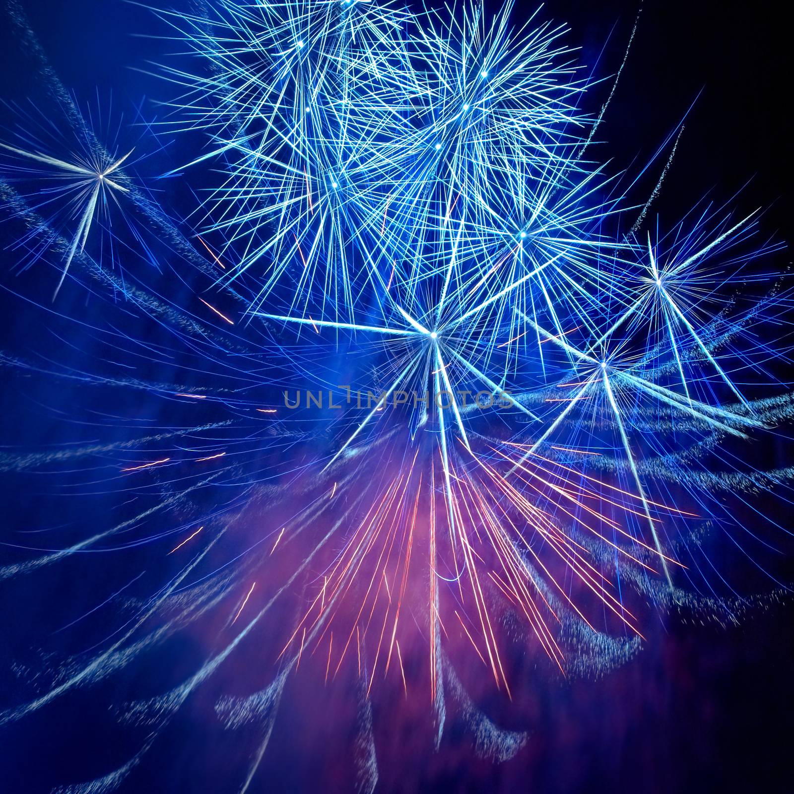 Blue colorful fireworks on the black sky background. Holiday celebration.