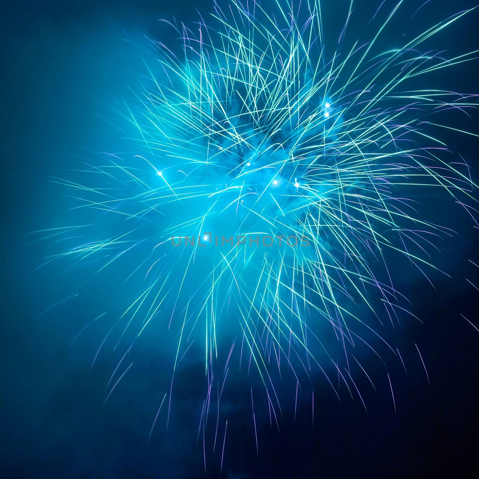 Blue colorful fireworks on the black sky background. Holiday celebration.