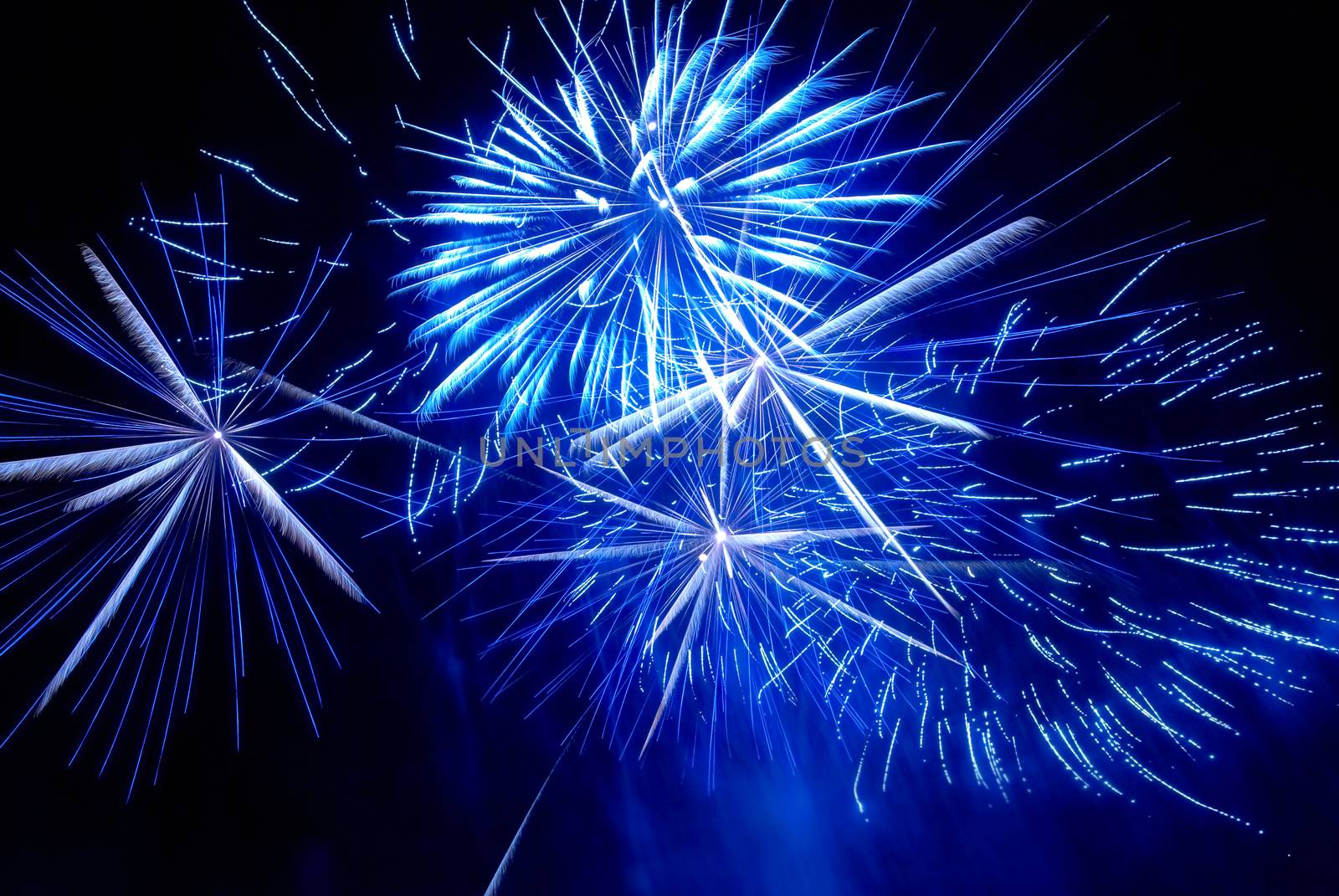 Colorful fireworks on the black sky background