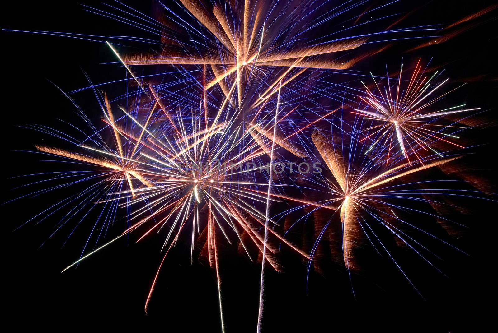 Colorful fireworks on the black sky background