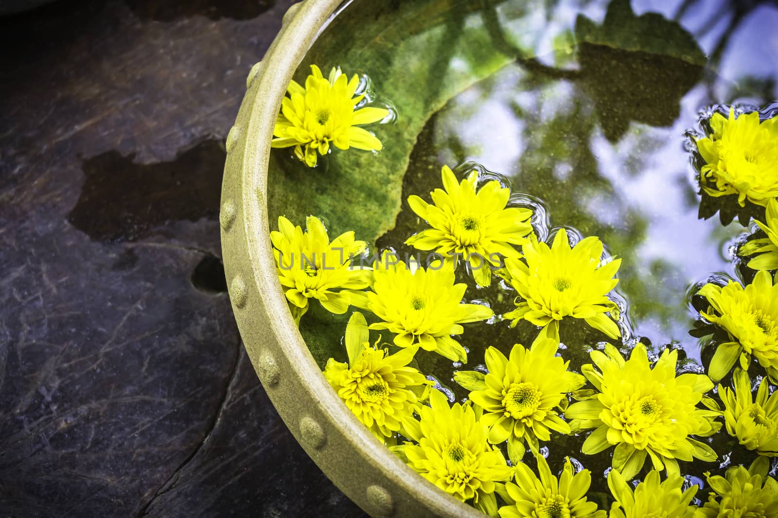 Spa therapy with yellow flowers on  water in bowl   and wooden background
