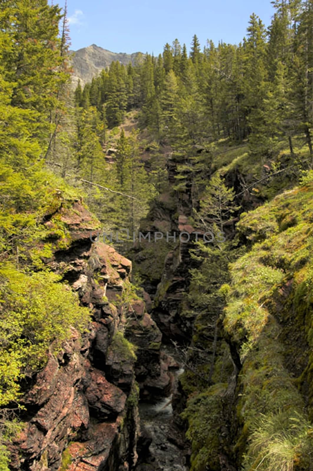 The lakes,  streams ,rivers, waterfalls and peaks of the Canadian Rocky mountains in Alberta.