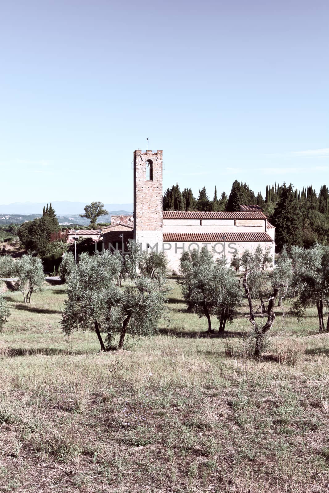 The Church in the Middle of an Olive Grove, Italy, Vintage Style Toned Picture