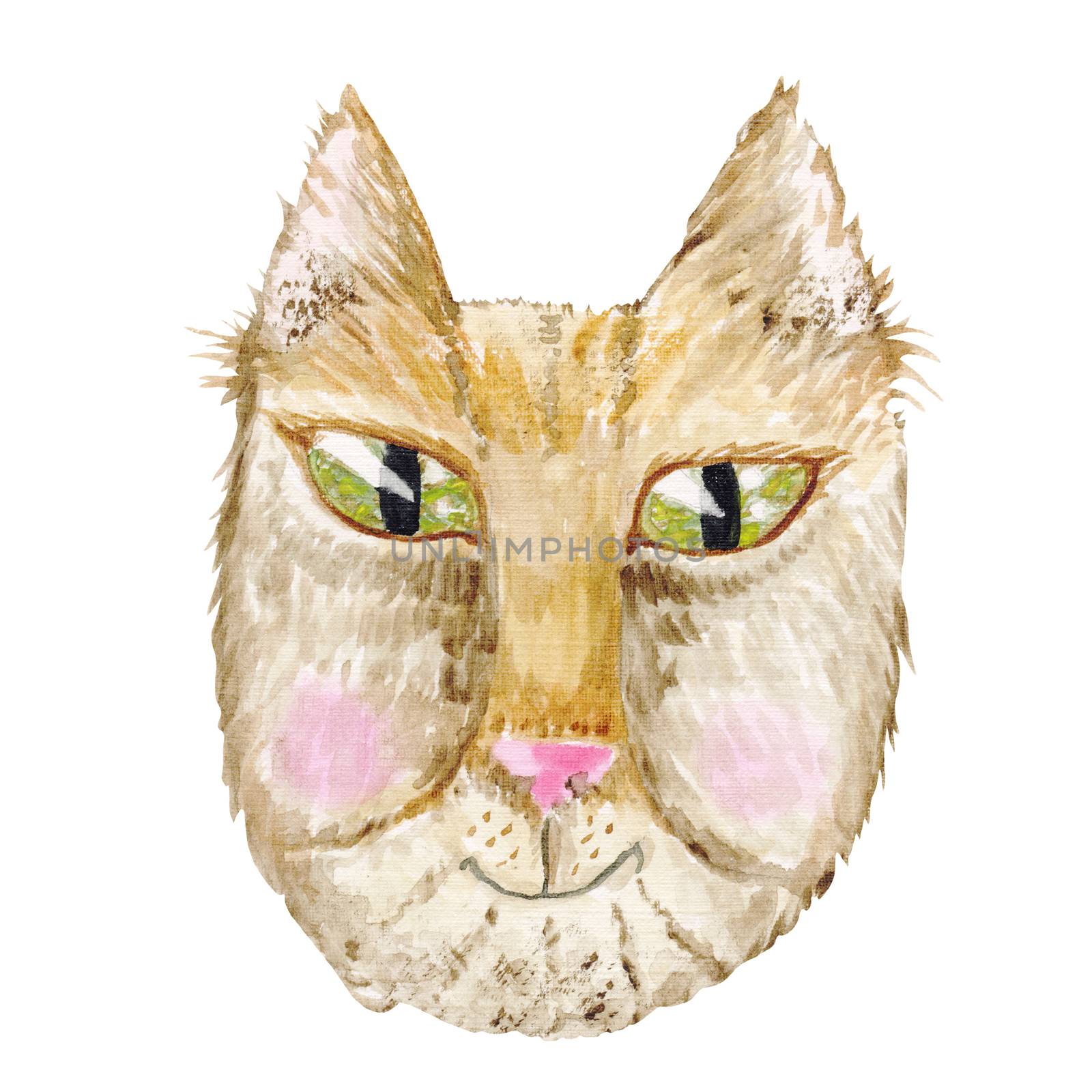 Funny cat face painting isolated on white background