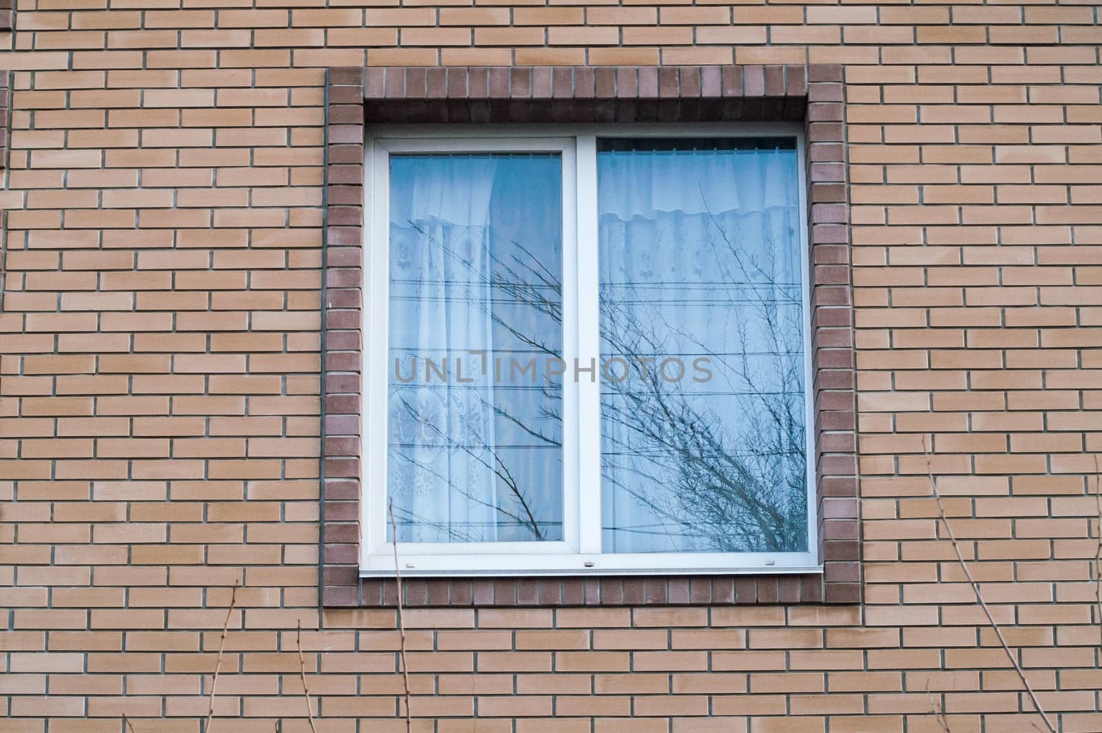 window brick house by antonius_