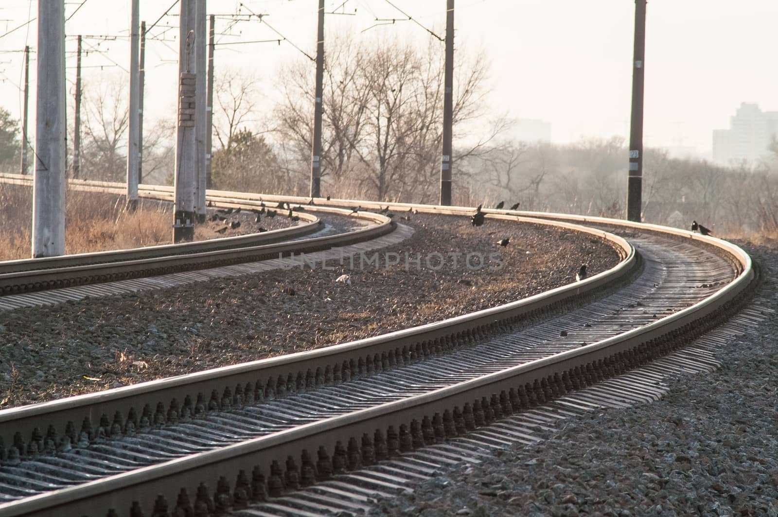 view of the railway by antonius_