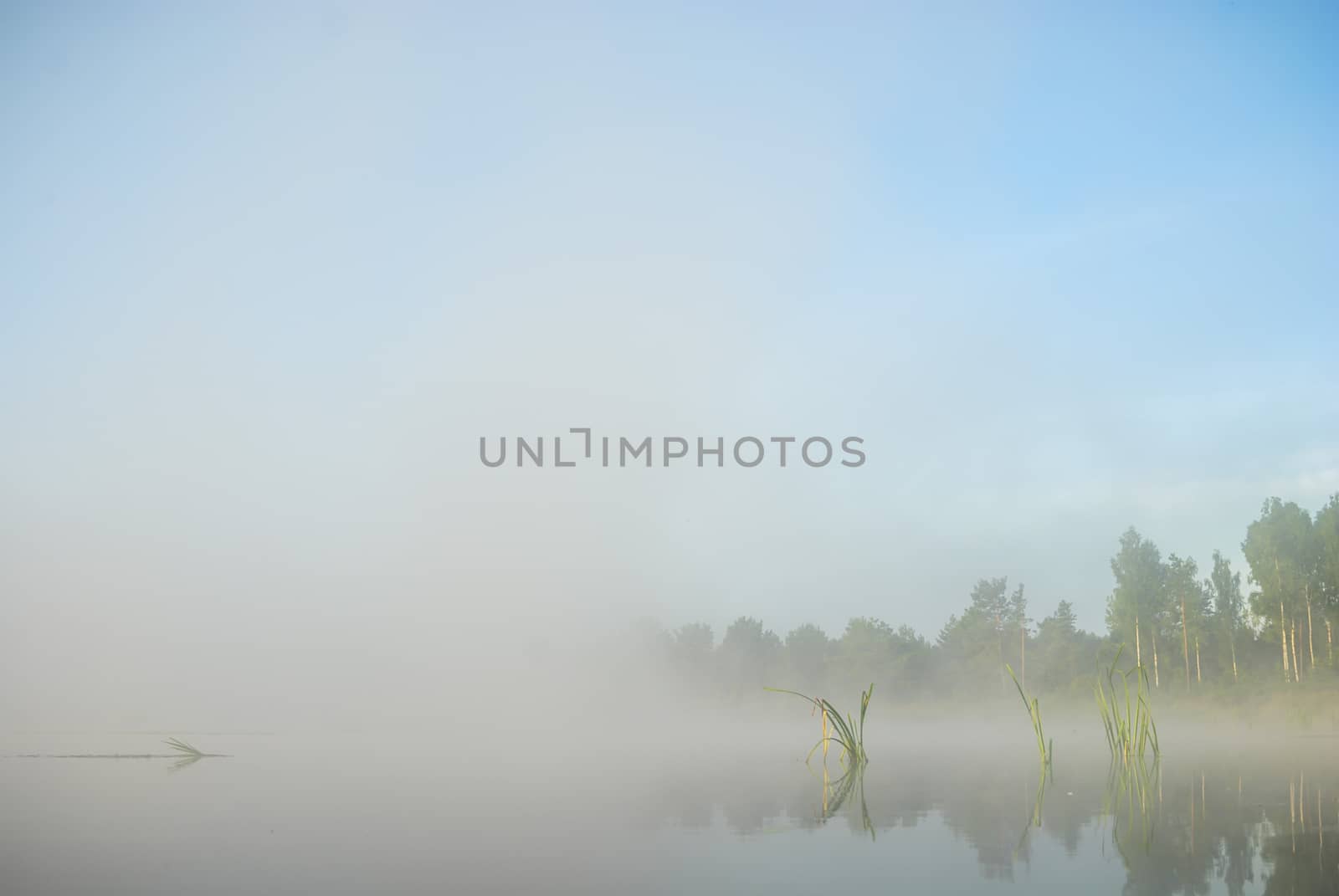 landscape with natural foggy river, nature series