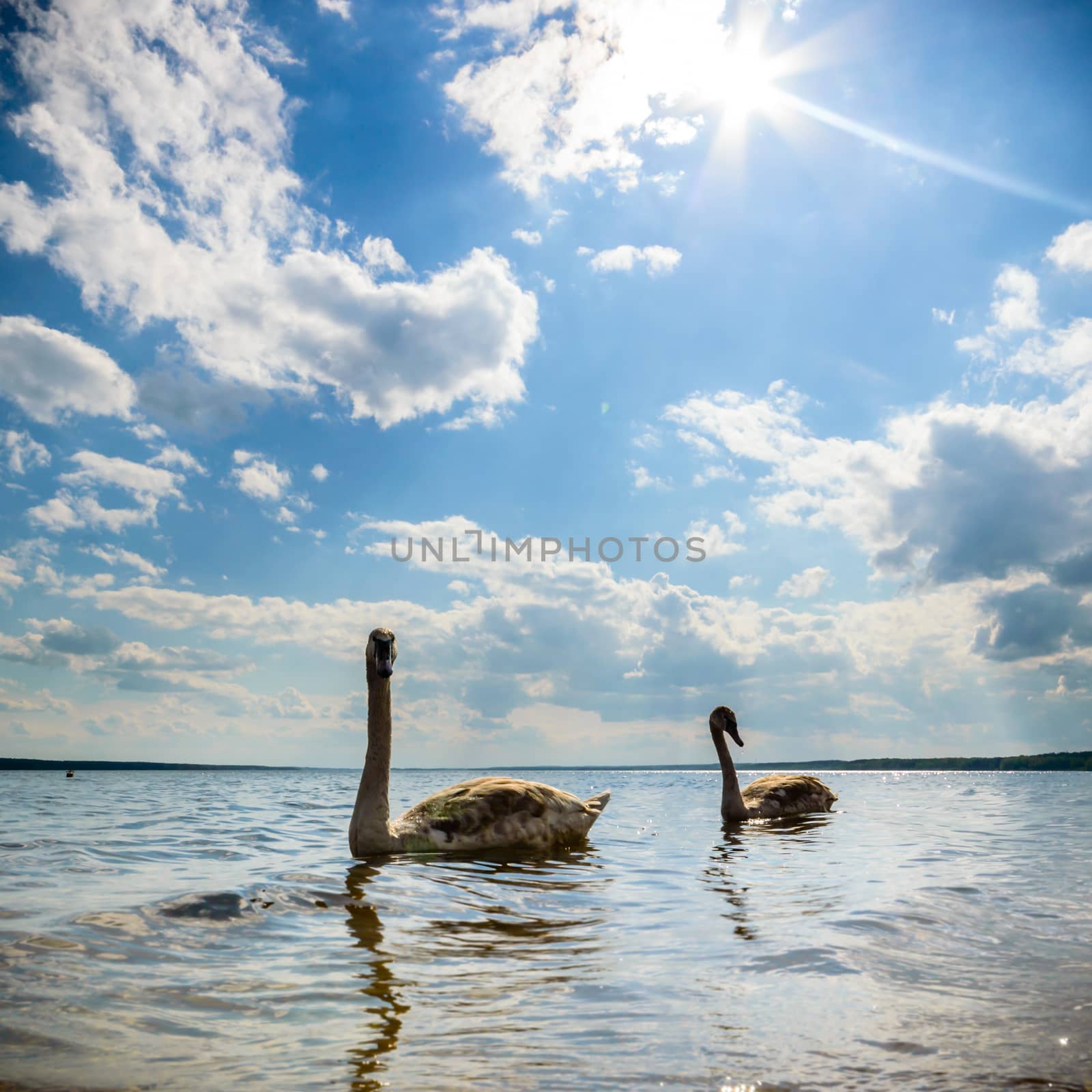 blue sky, natural clouds, nature series