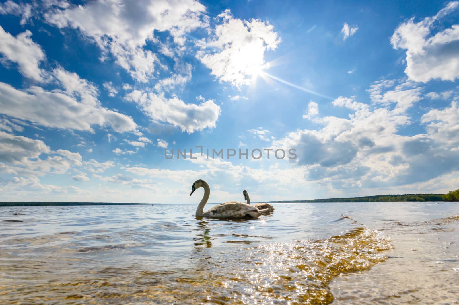 blue sky, natural clouds, nature series