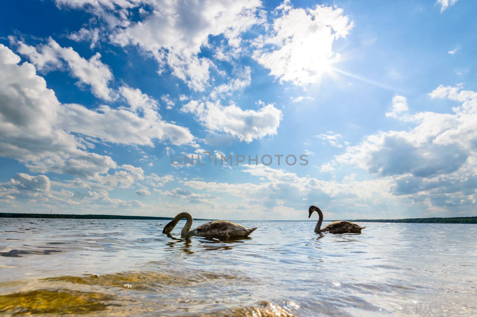 blue sky, natural clouds, nature series