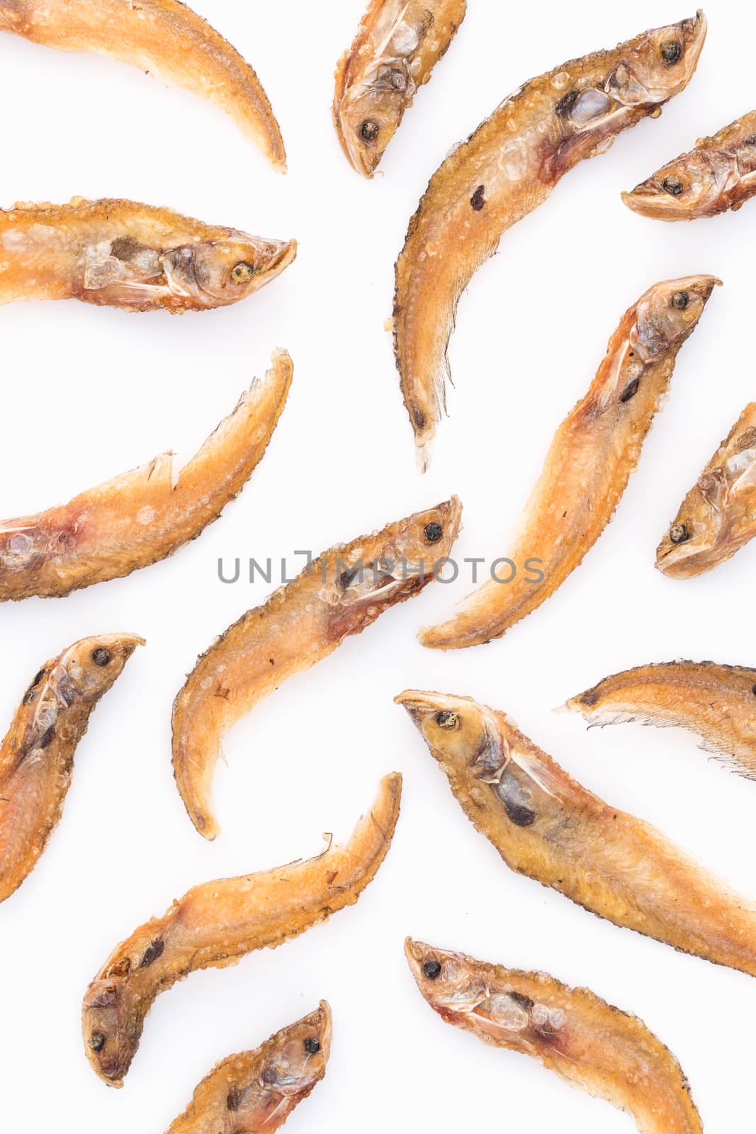 Sheatfish fried by AEyZRiO