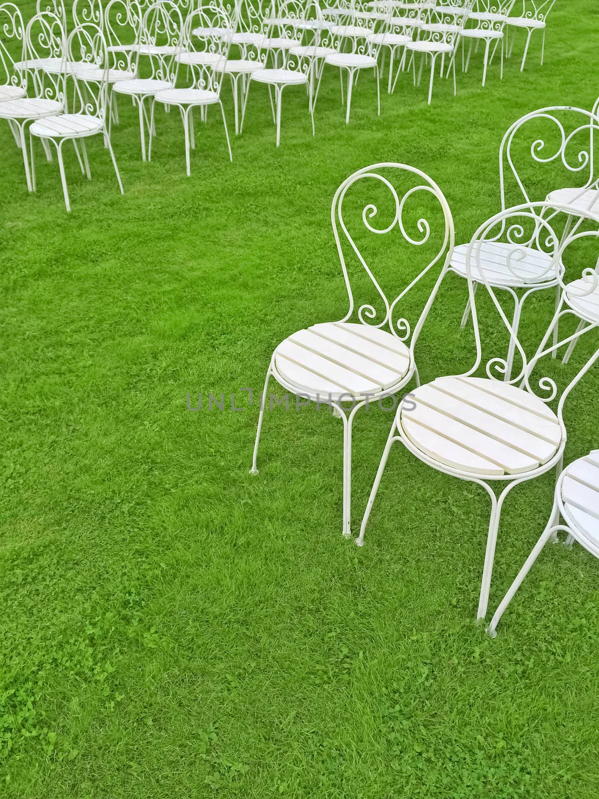 Rows of empty white chairs on the green lawn.