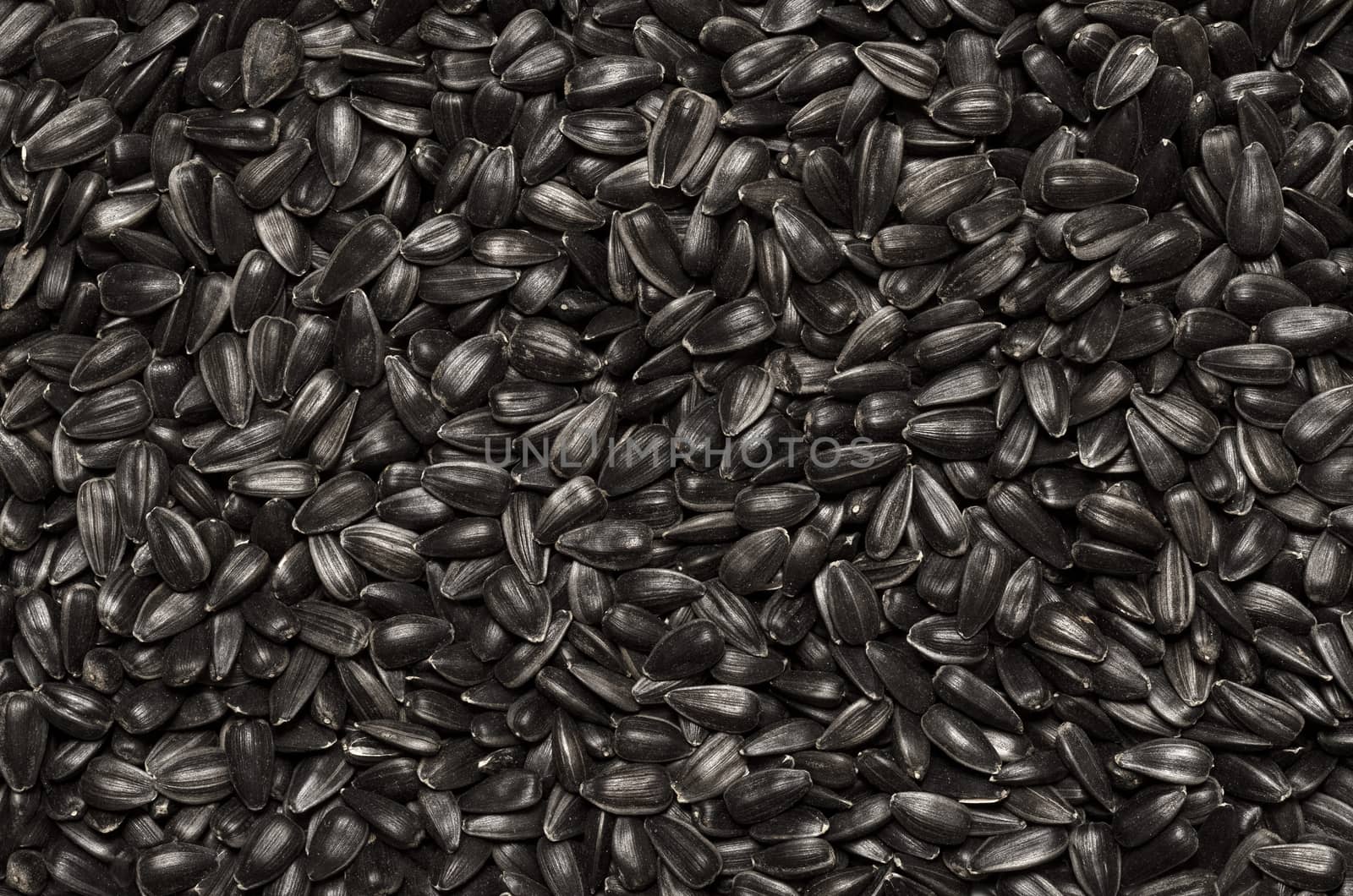 Textured background from selected sunflower seeds by Gaina