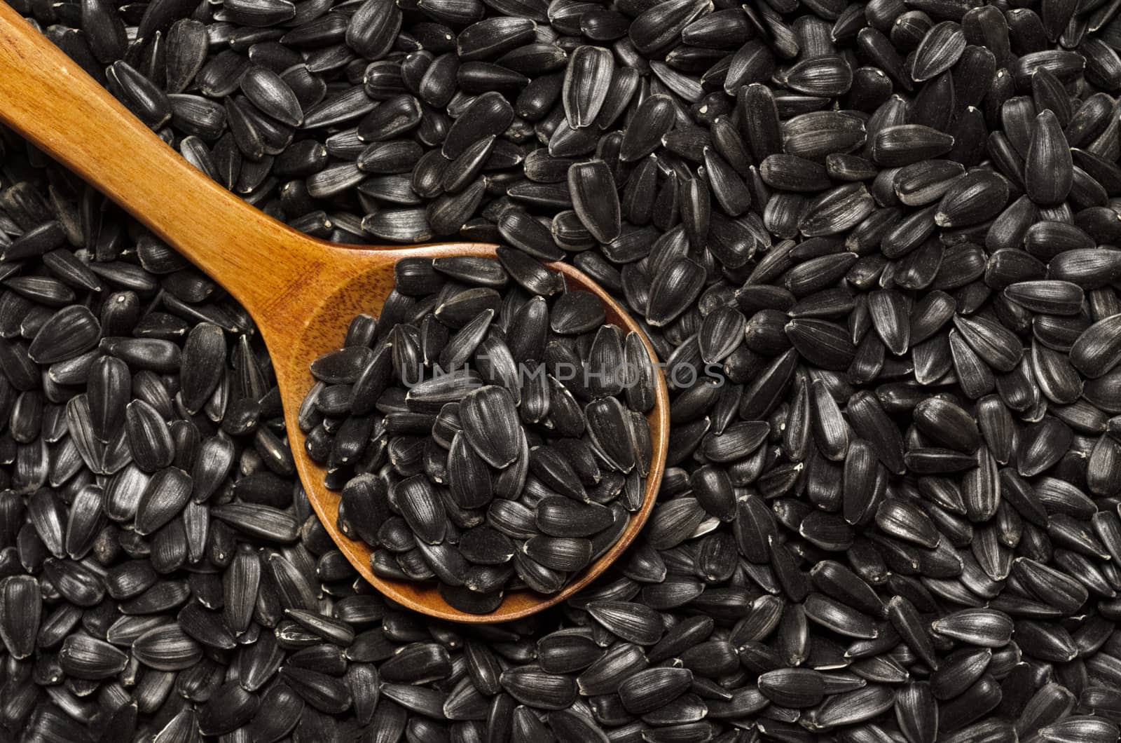 Sunflower seeds in wooden spoon on texture background from them by Gaina