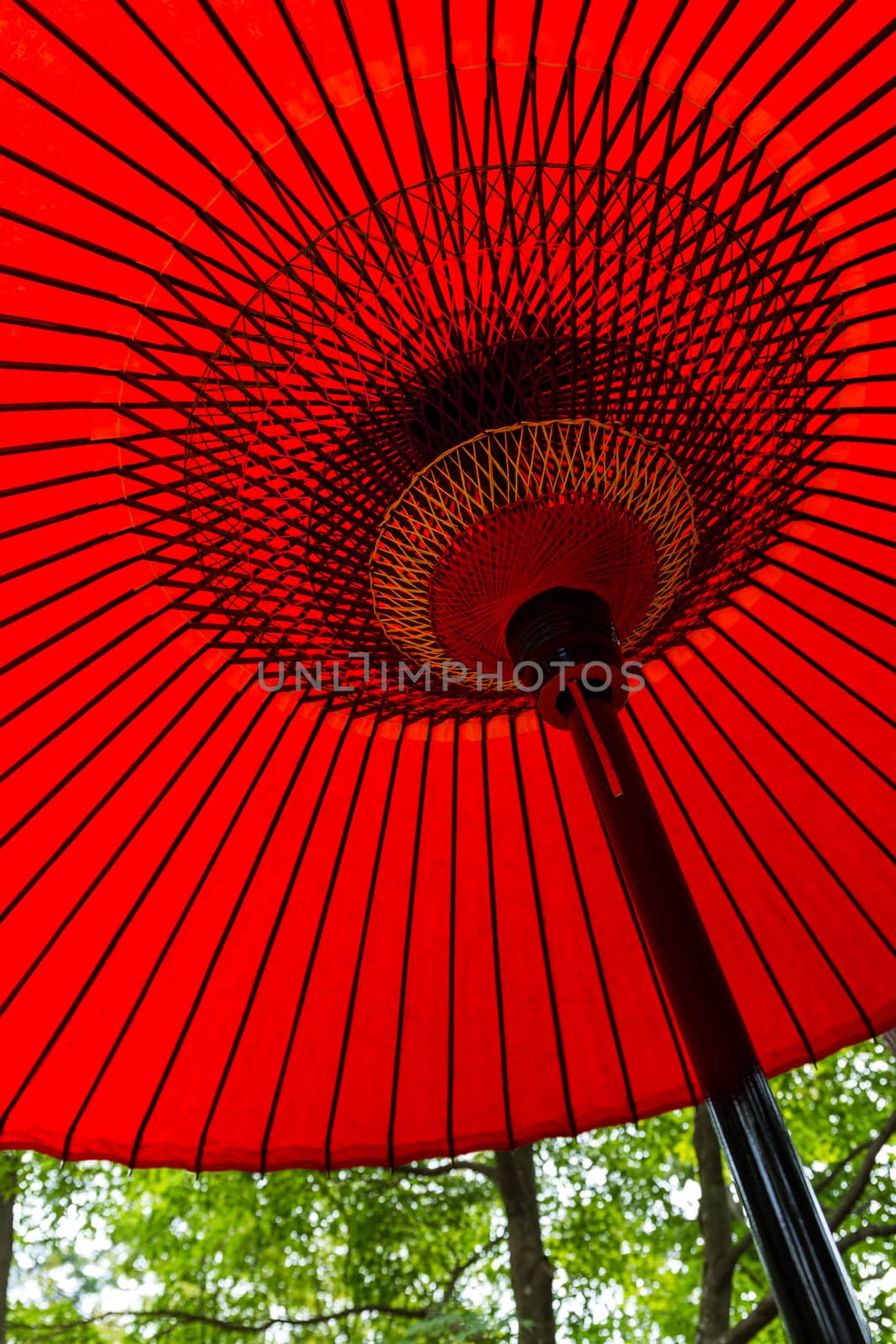 Red oriental paper umbrella