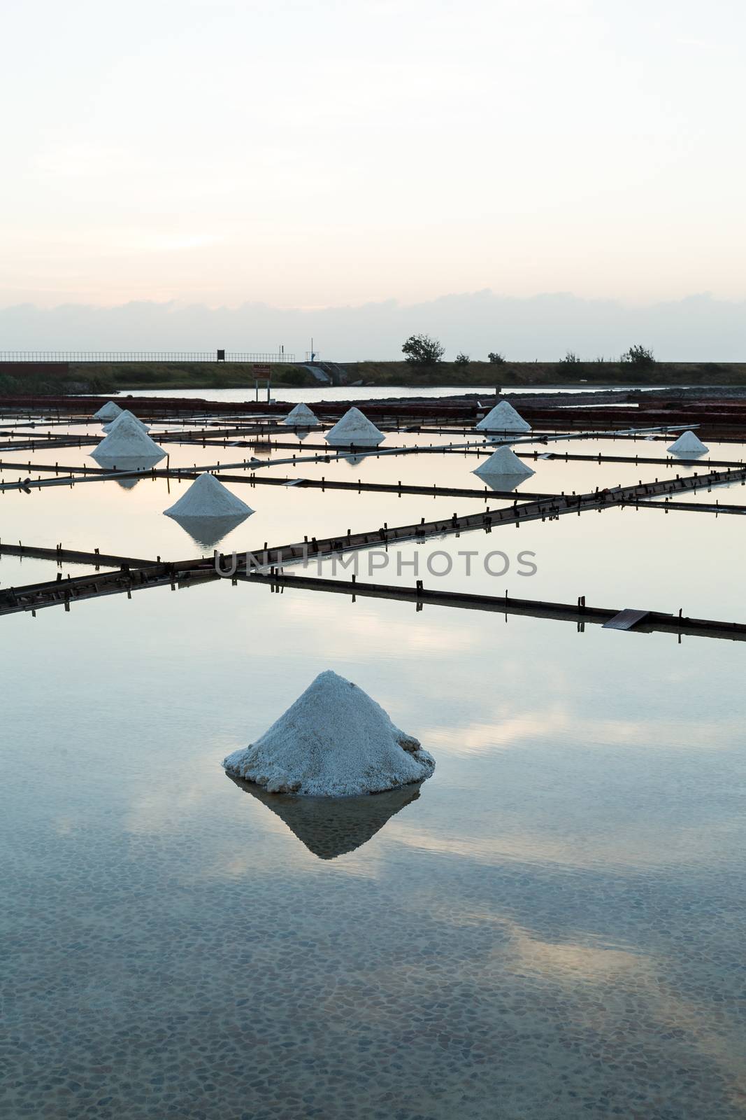 Sea salt in salt farm by leungchopan