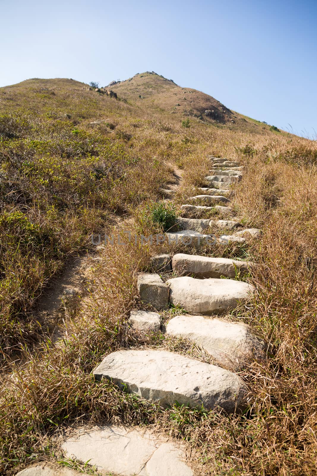 Pathway to the top of the mountain
