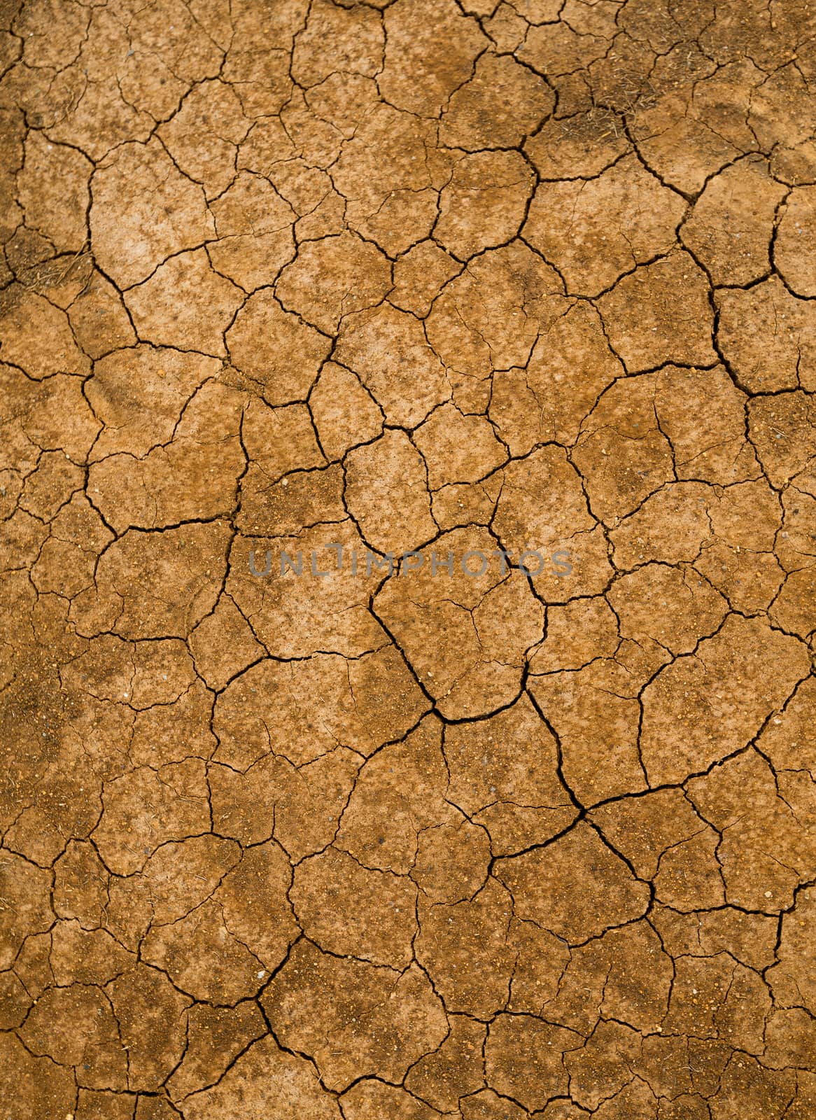 Texture cracked earth by leungchopan