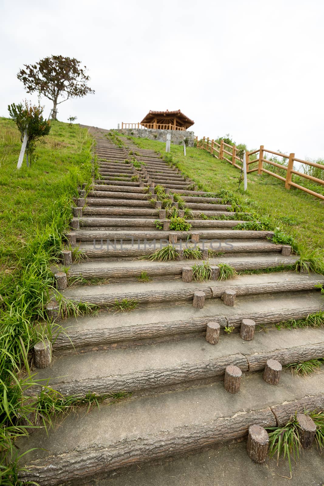 Steps in countryside