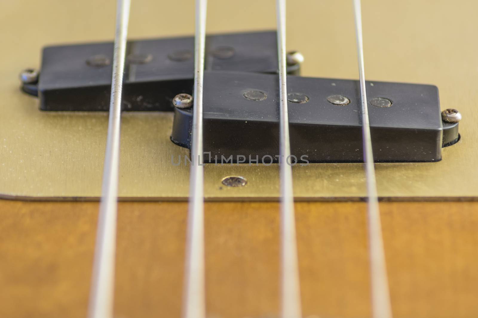 Electric bass pickups by rarrarorro