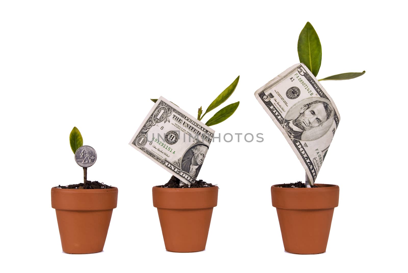 Growing Money Concept by stockbuster1