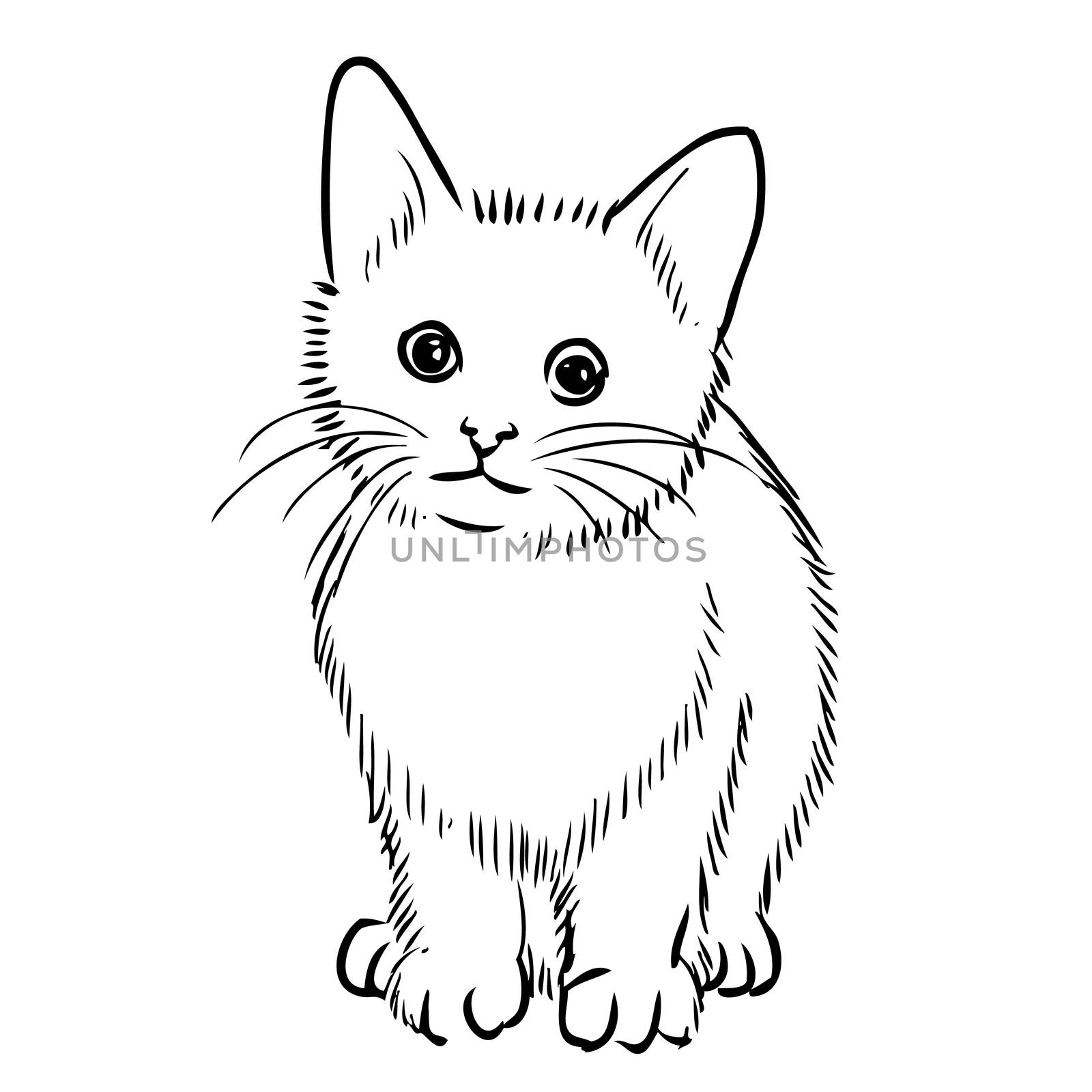 freehand sketch illustration of little cat, kitten doodle hand drawn