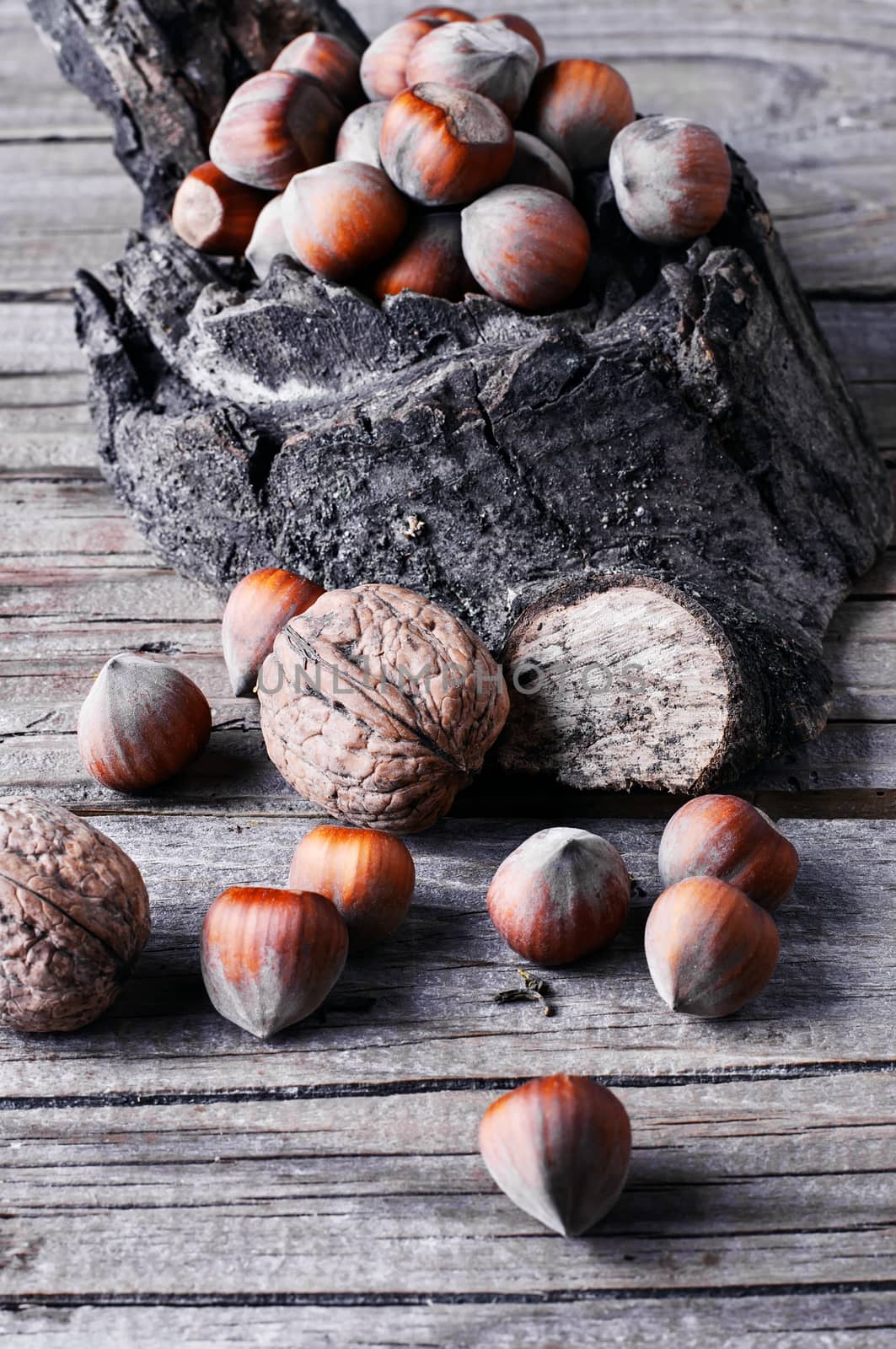 Autumn harvest walnuts and hazelnuts on wooden background