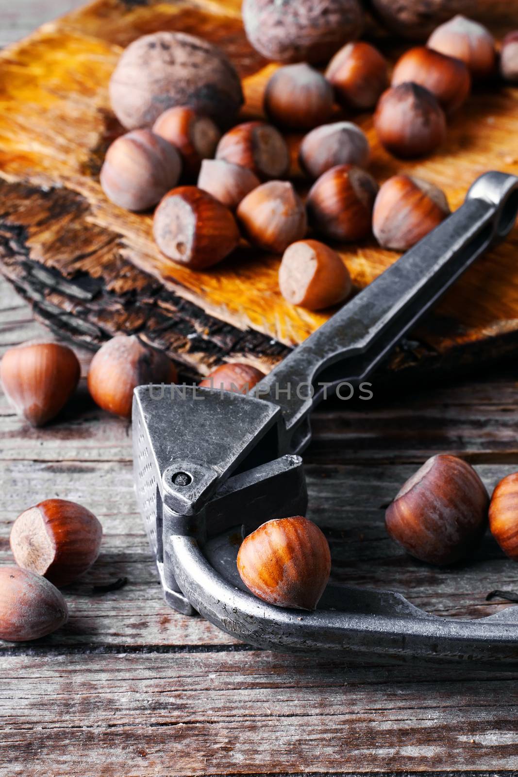 nutcracker a bunch of hazelnuts and walnuts on old wooden background