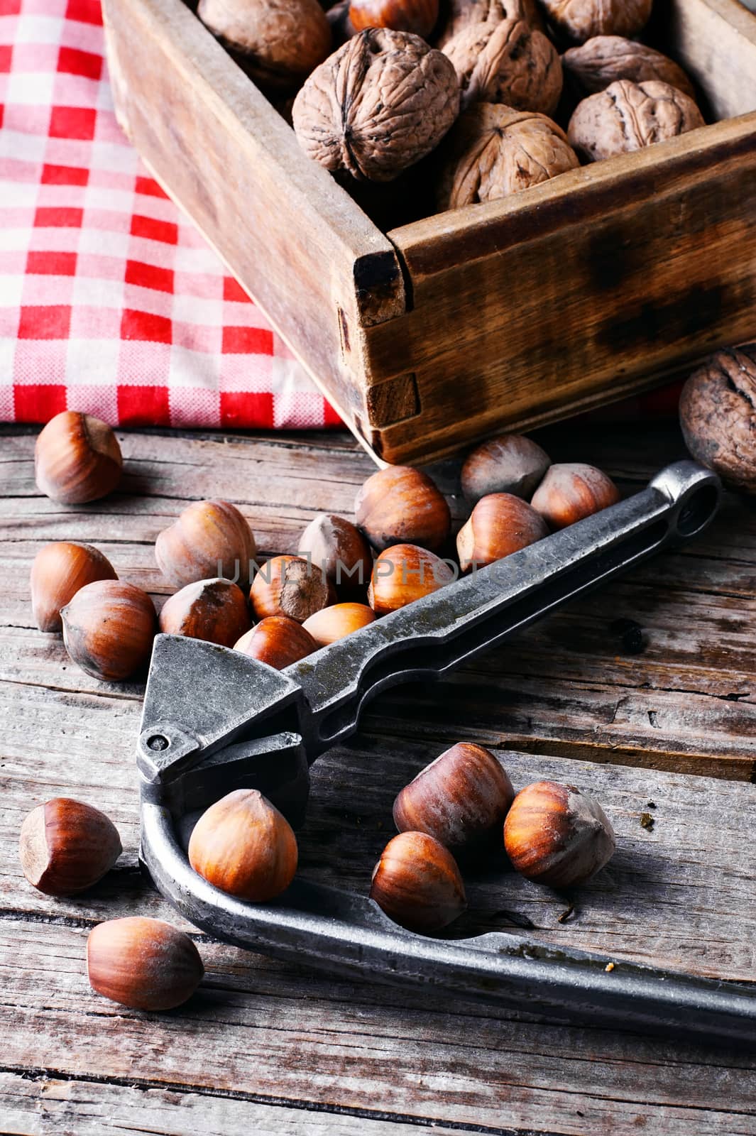 Autumn harvest walnuts and hazelnuts on wooden background