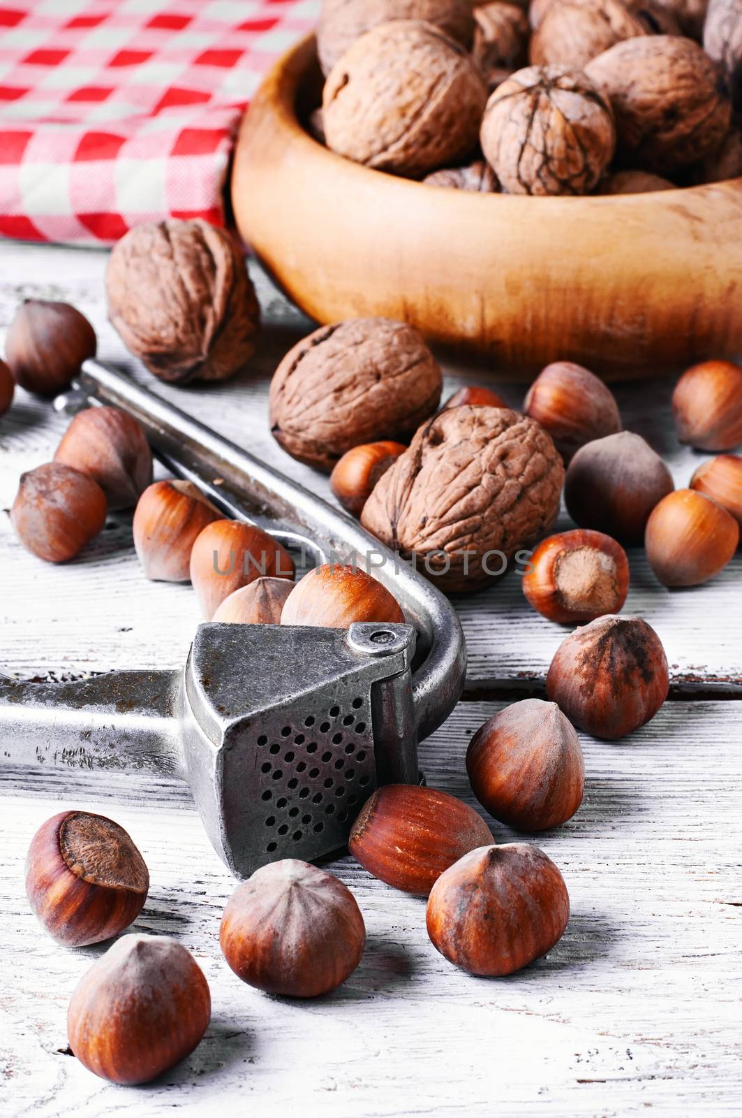 Autumn harvest walnuts and hazelnuts on wooden background