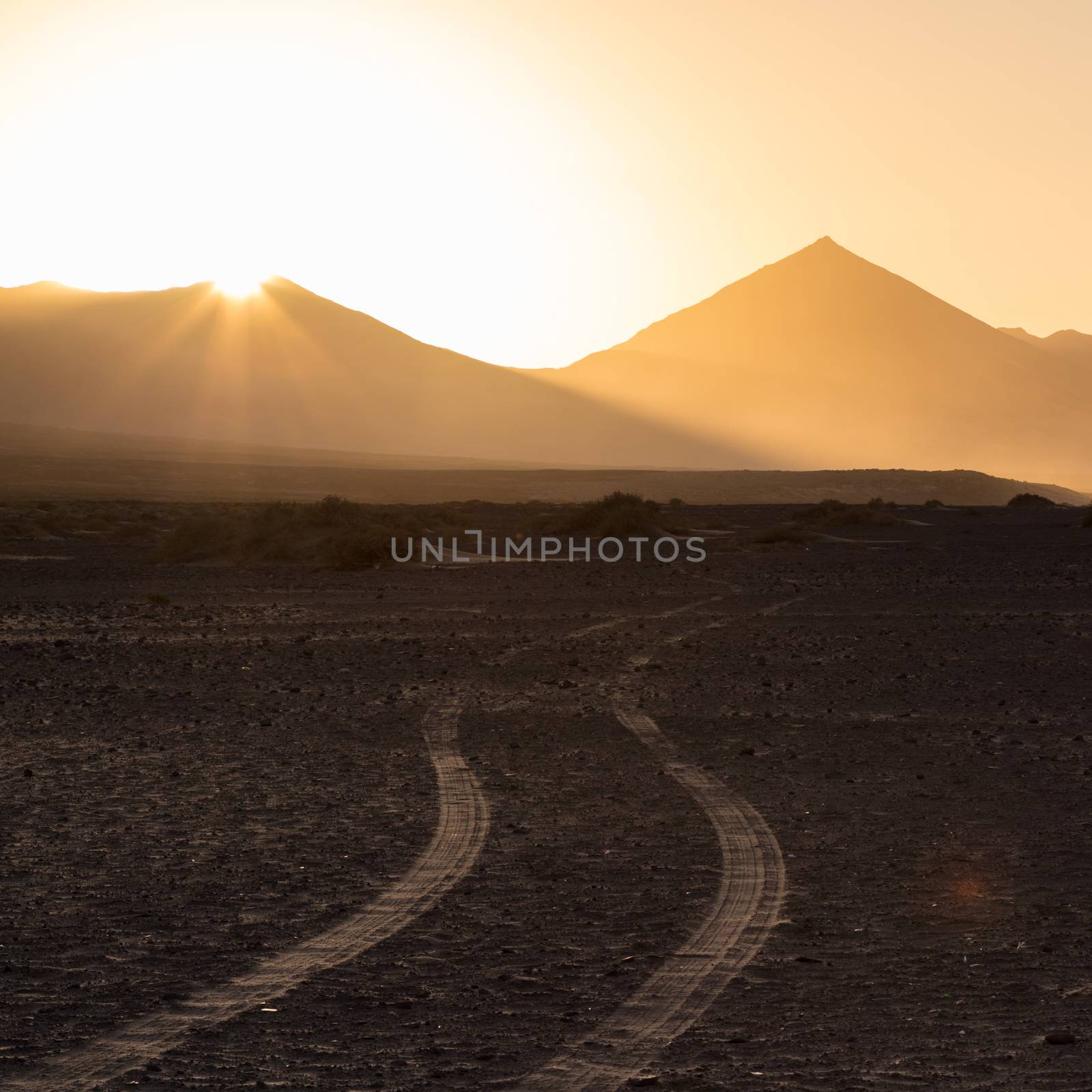 Car tire tracks in sand. Dirt road vanishing to the mountains sunlit in sunset. Copy space for text. Square composition.