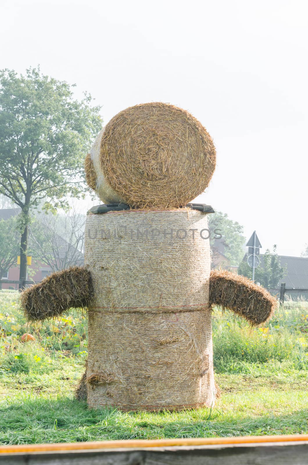 Hay bale figure, in the countryside.