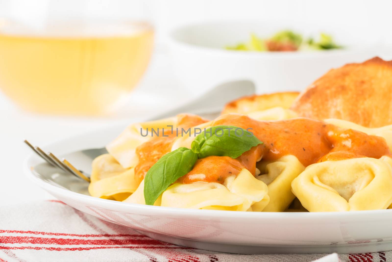 Closeup photograph of tortelloni with rose sauce.  Useful on a menu and other food services marketing.