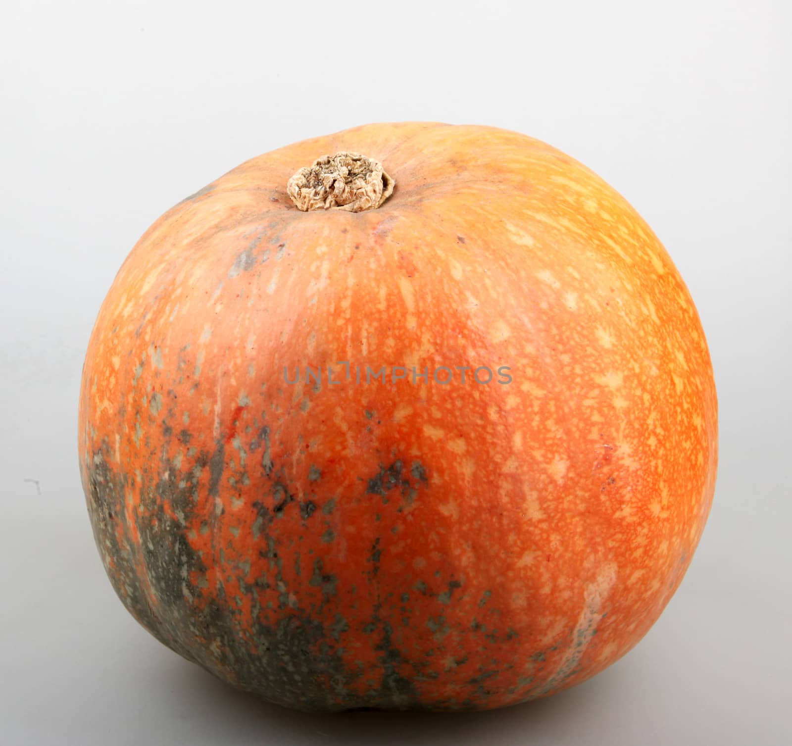 Pumpkin by nenov