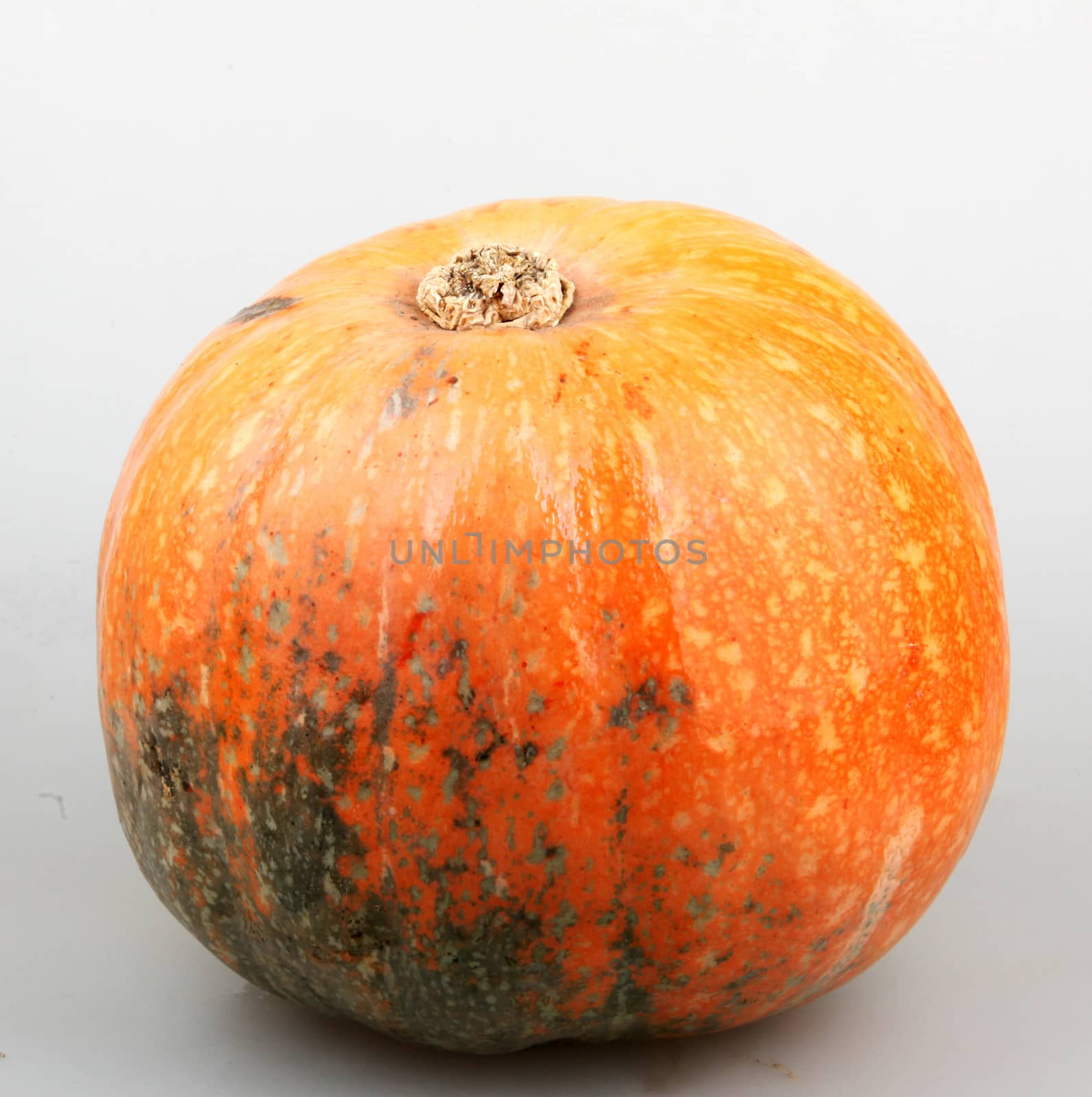 Pumpkin by nenov