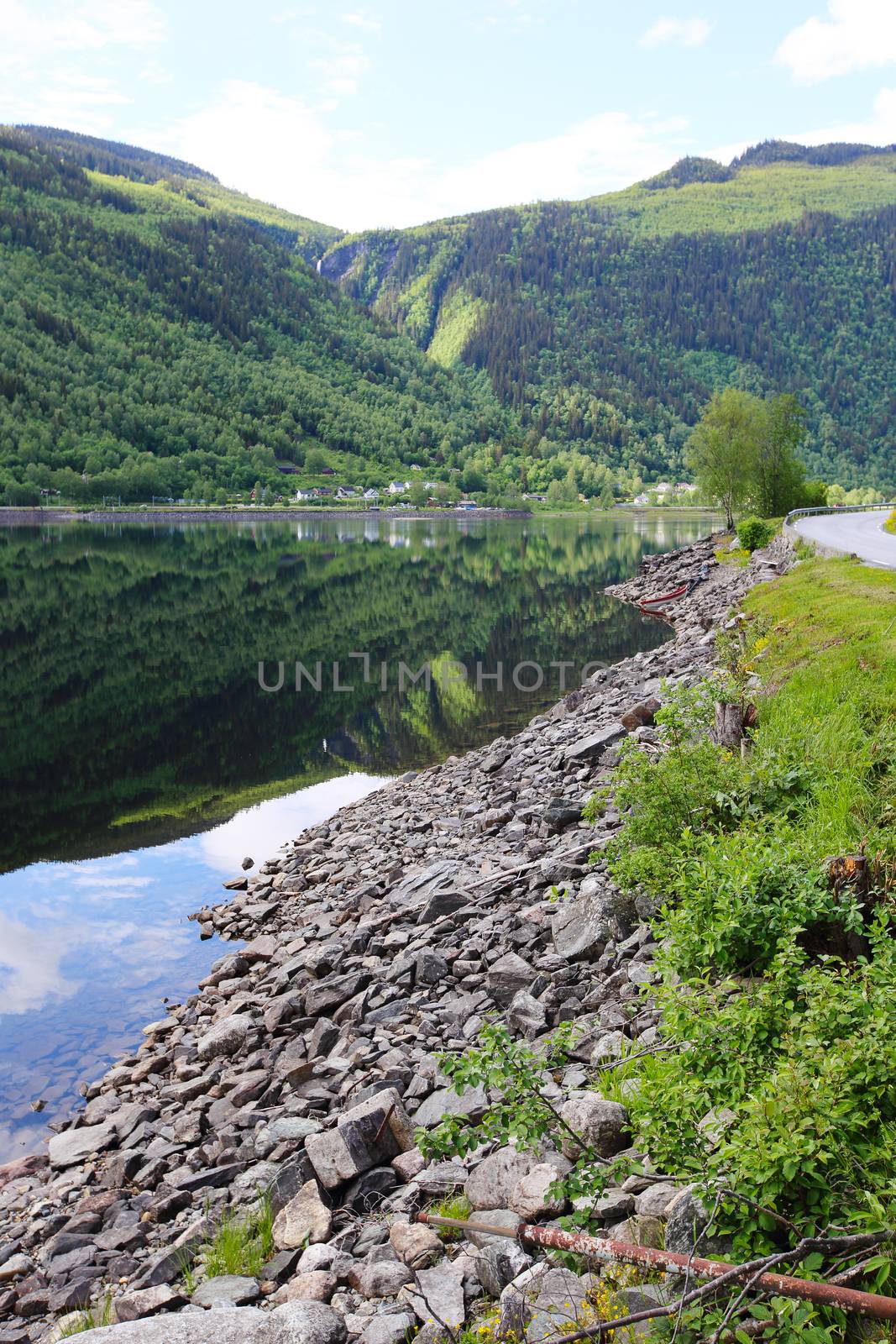 Summer Norway landscape with shore of fjord and mountain forest