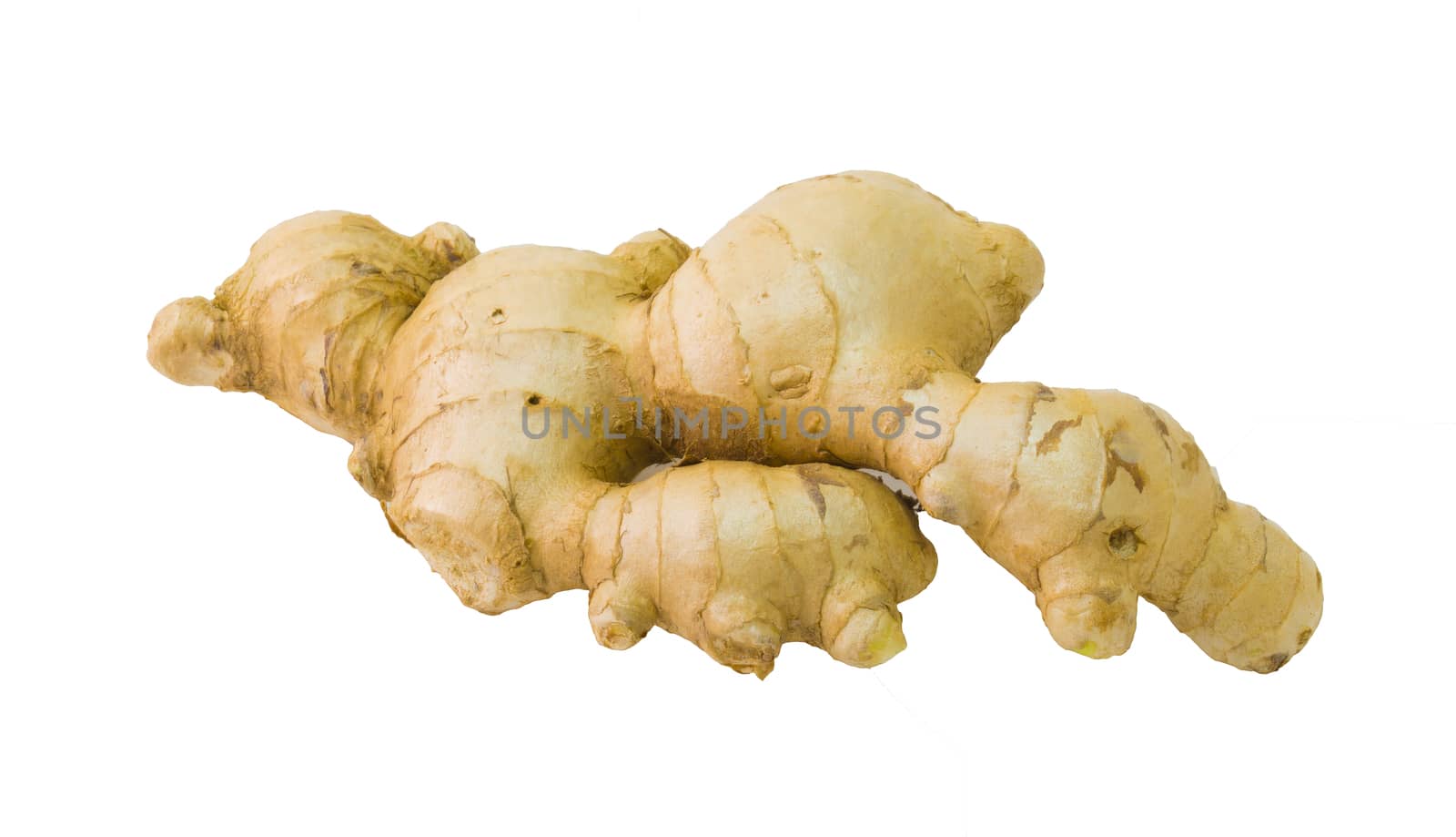 Fresh Ginger isolated on white background by chingraph