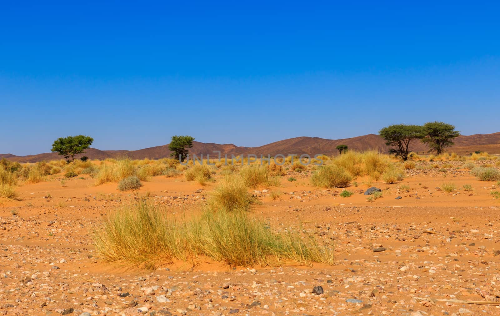 landscape in the Sahara desert by Mieszko9