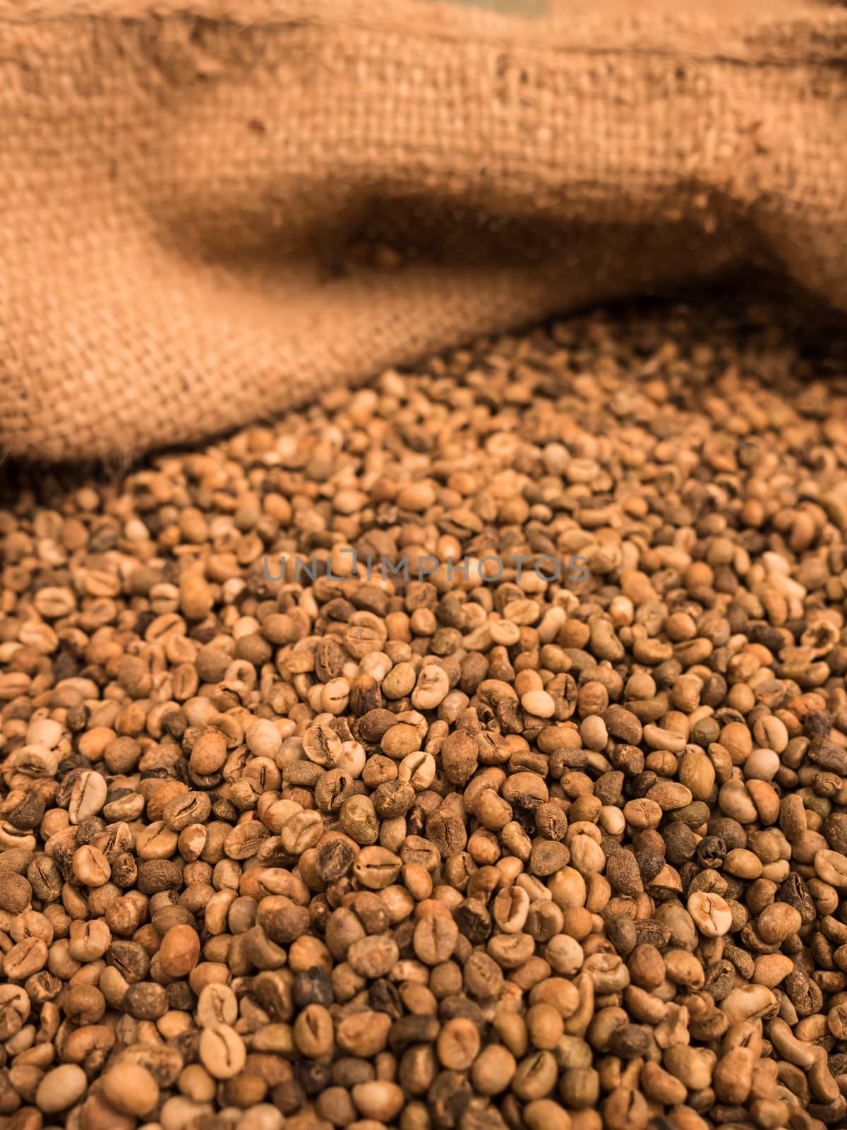 green unroasted coffee beans in sack. by lavoview