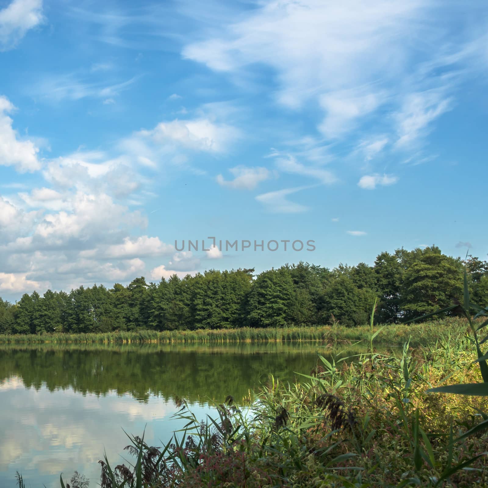 blue sky, natural clouds, nature series