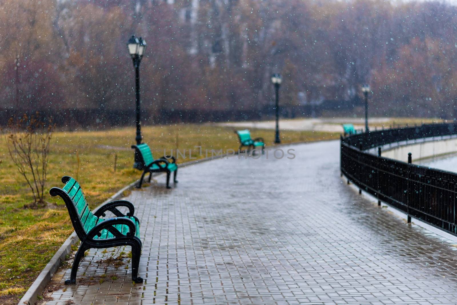 An alley on the bank of the lake with green benches and street lights under falling snow.