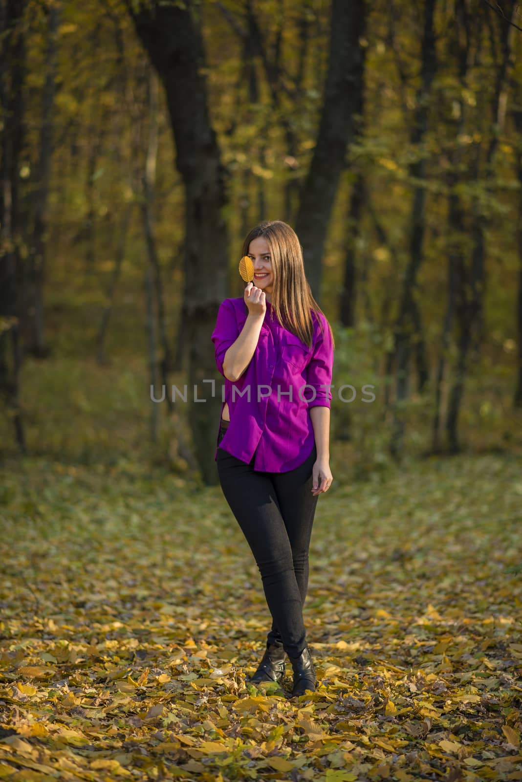 Girl holding yellow leaf. Beatiful teenager girl wearing a purple shirt and holds a yellow leaf in a autumn woods. She is standing on yellow foliage. Action takes places at autumn in woods.