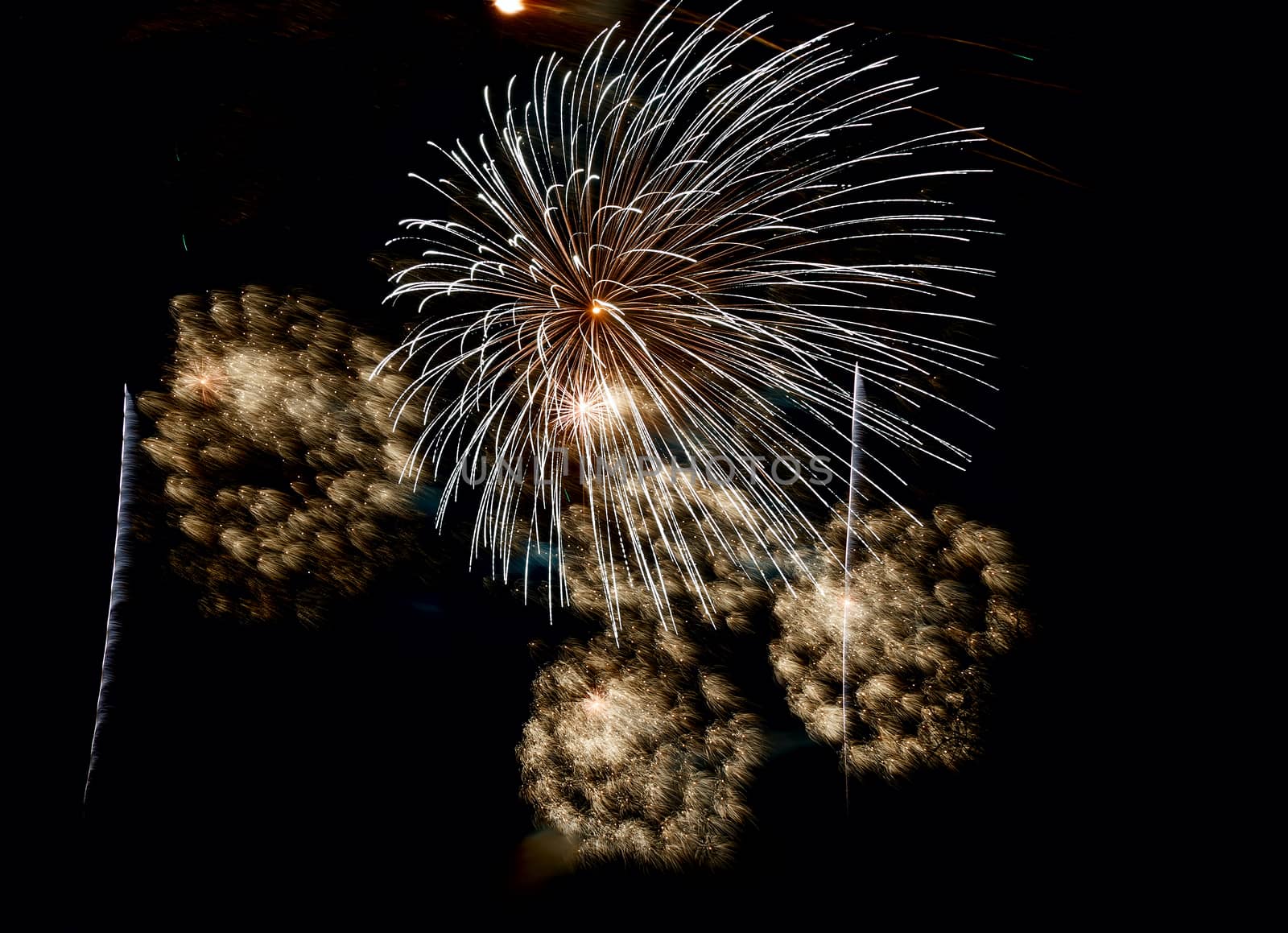 multicolored fireworks in the night sky