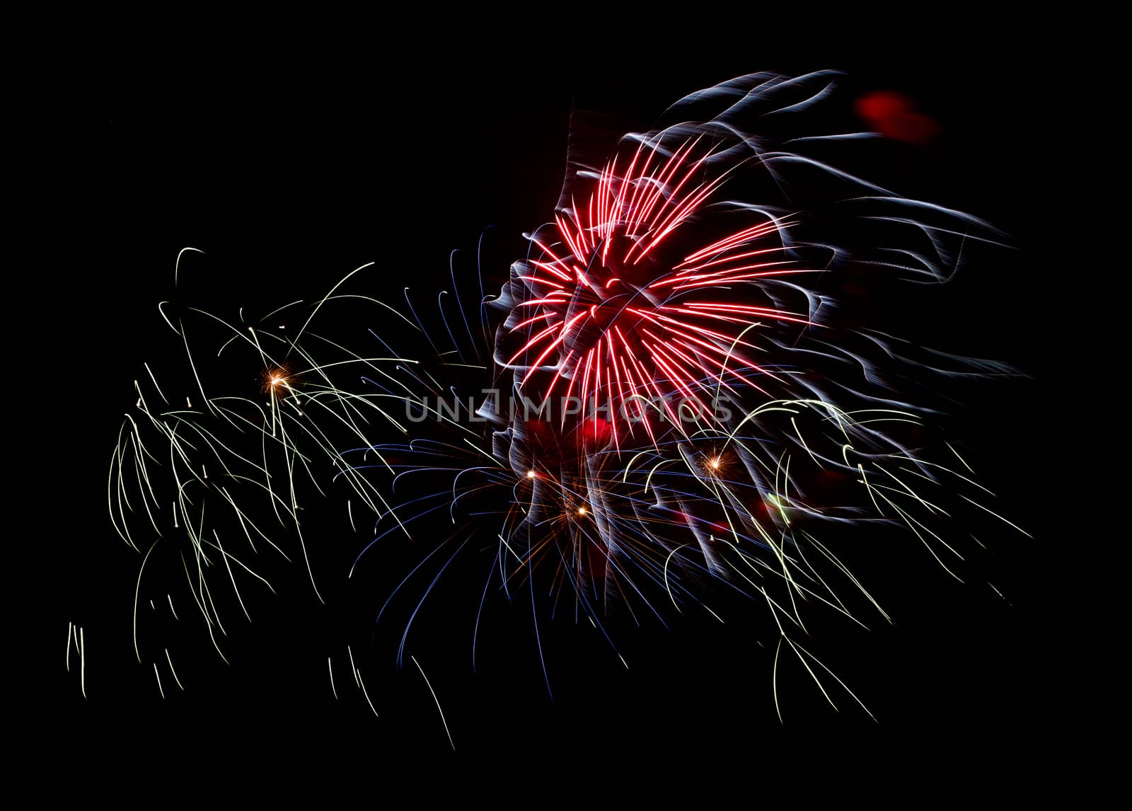 multicolored fireworks in the night sky