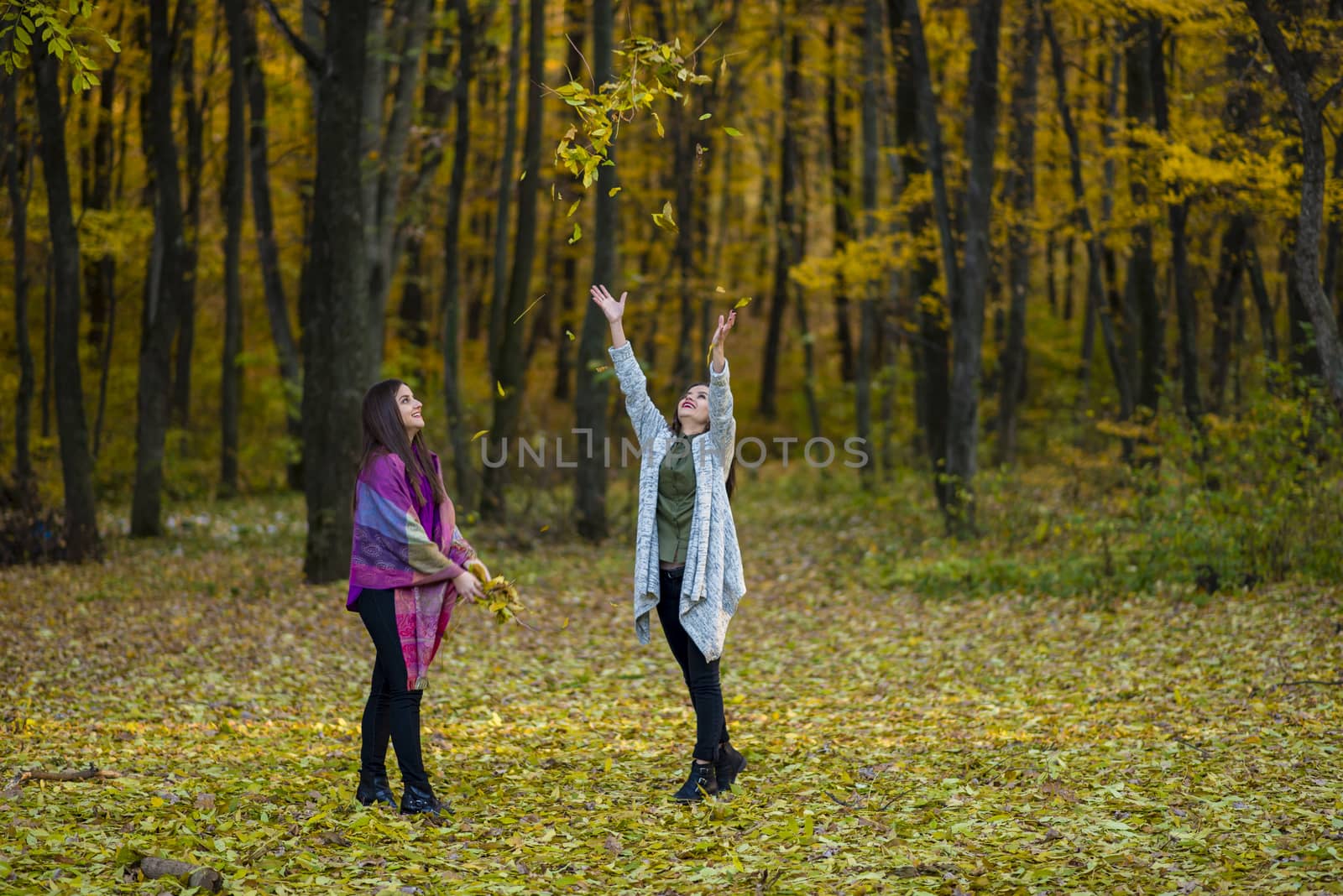 Leaves are in the air. Two teenager girls throwing yellow leaves up in a forest and having fun.