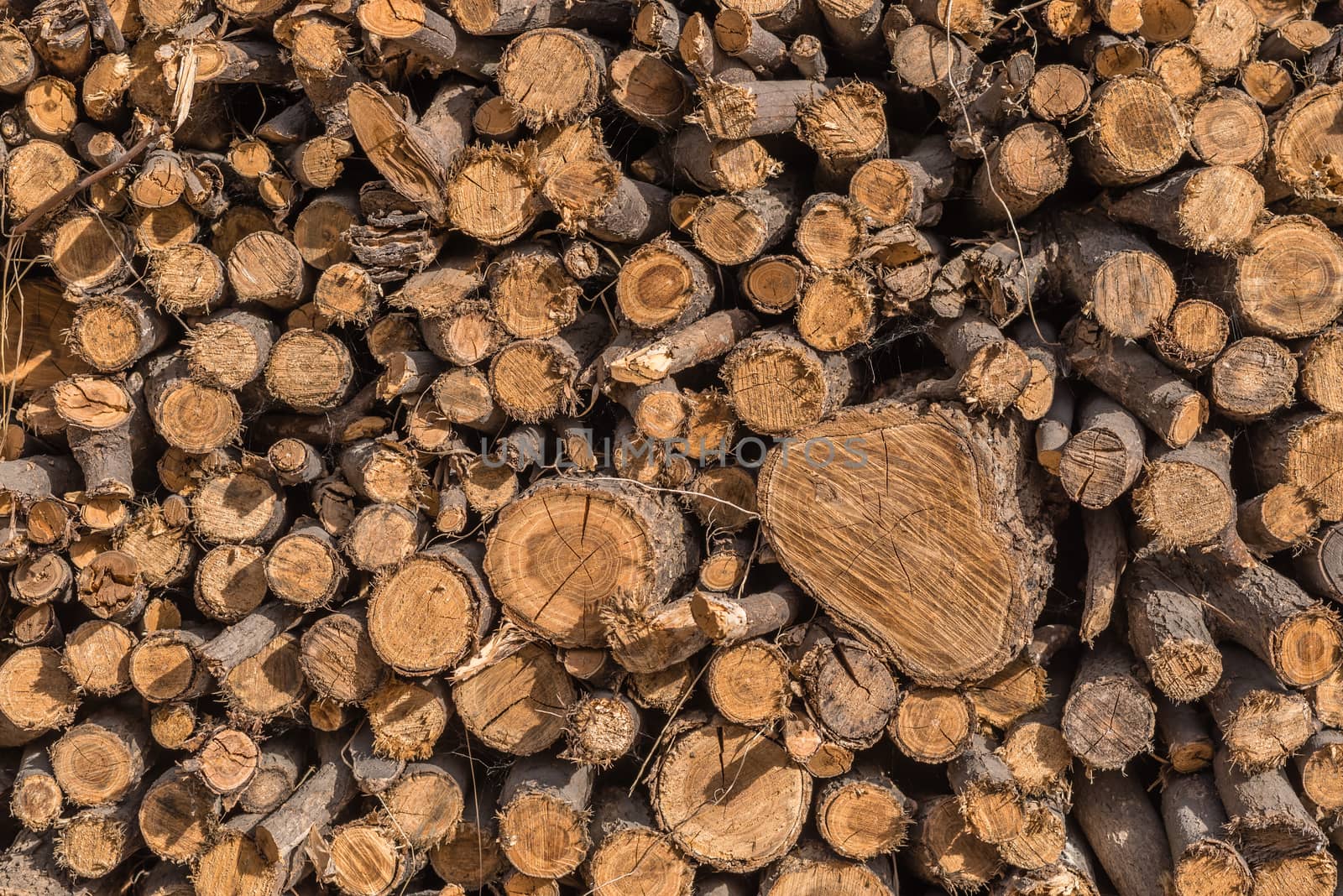 Logs stacked against the wall.