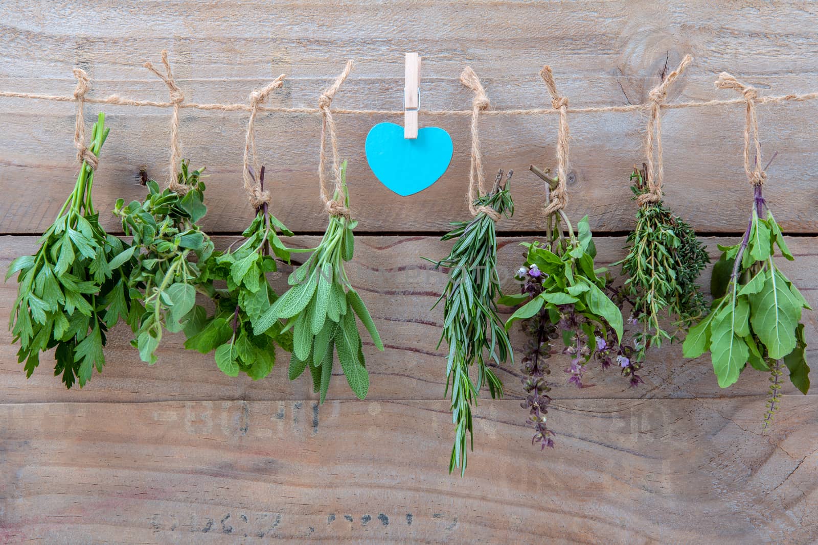 Assorted hanging herbs ,parsley ,oregano,mint,sage,rosemary,sweet basil,holy basil,  and thyme for seasoning concept on rustic old wooden background.