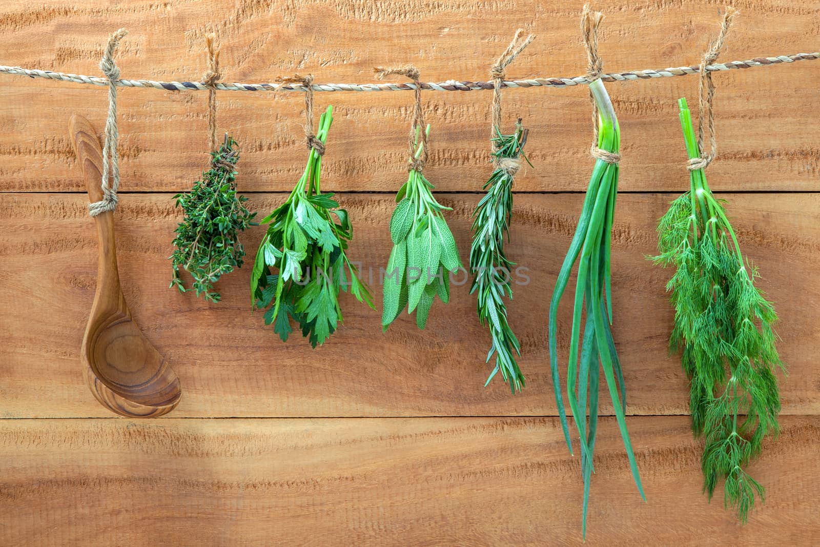 Assorted hanging herbs ,parsley ,sage,rosemary,spring onion and dill  and thyme for seasoning concept on rustic old wooden background.