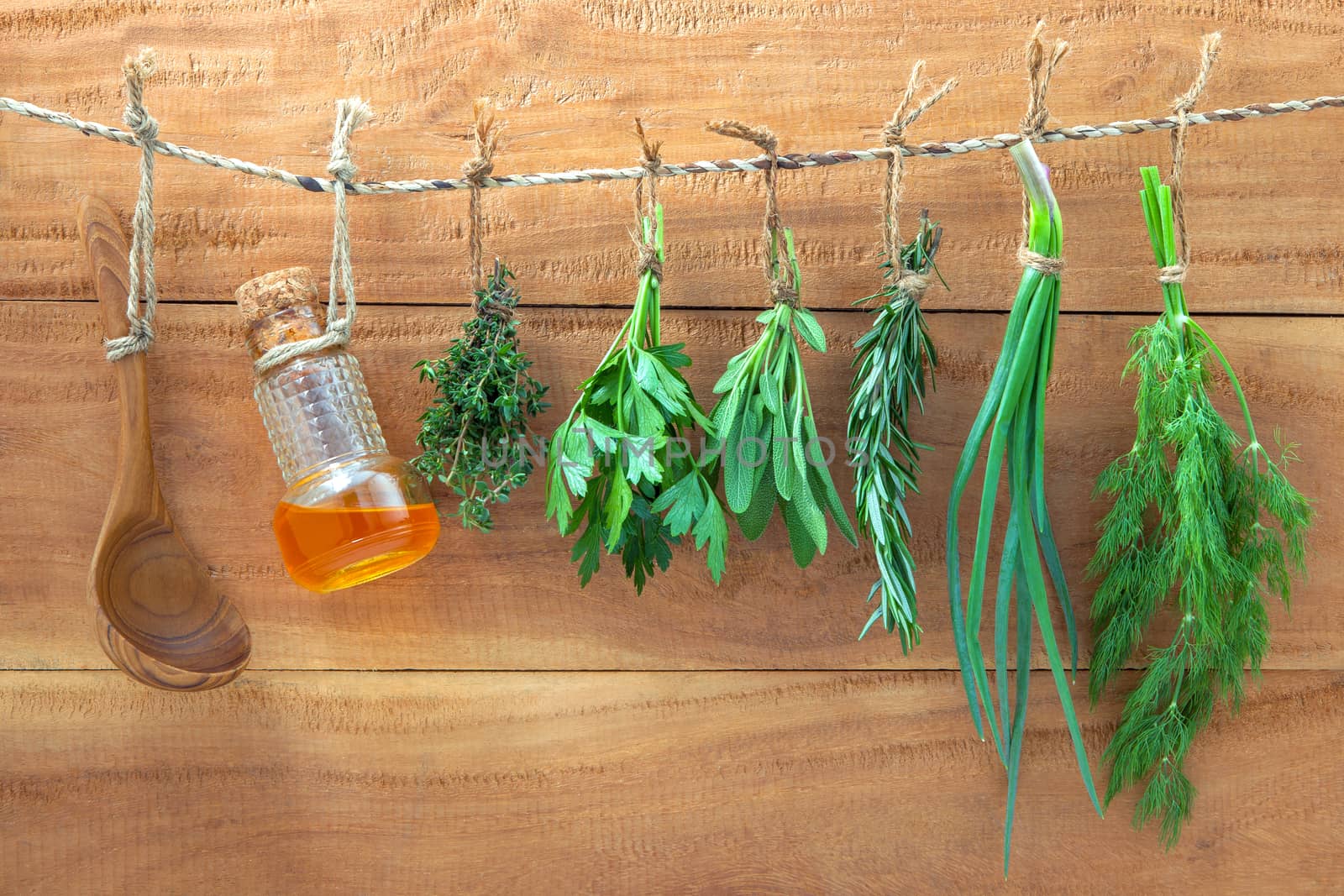 Assorted hanging herbs ,parsley ,sage,rosemary,spring onion and dill  and thyme for seasoning concept on rustic old wooden background.