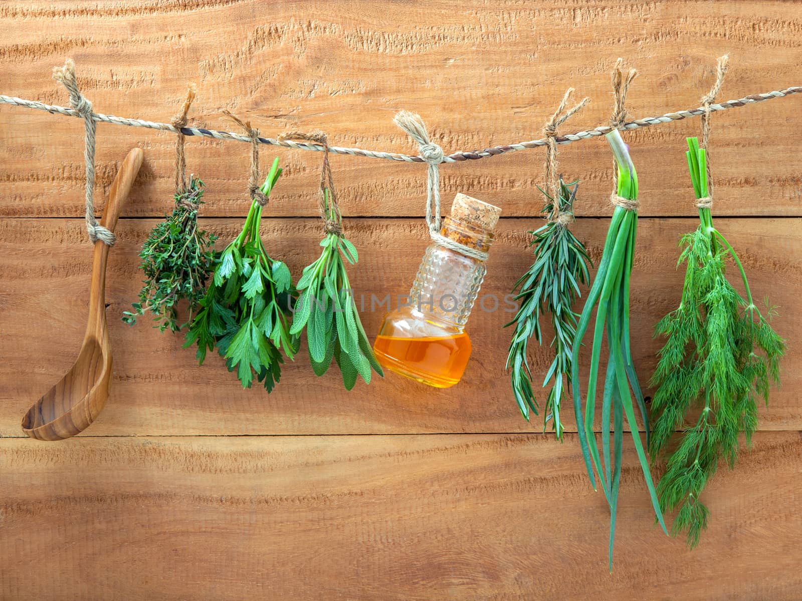 Assorted hanging herbs ,parsley ,sage,rosemary,spring onion and dill  and thyme for seasoning concept on rustic old wooden background.